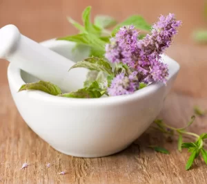 صفحه اصلی 5 دارویی و معطر