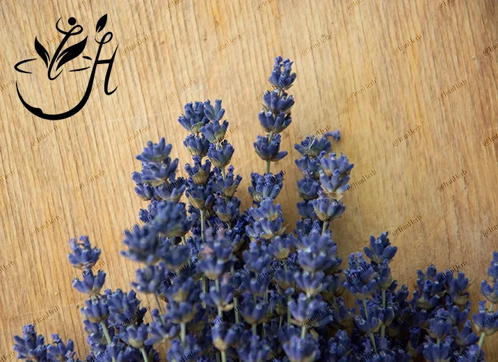 اسانس اسطوخودوس