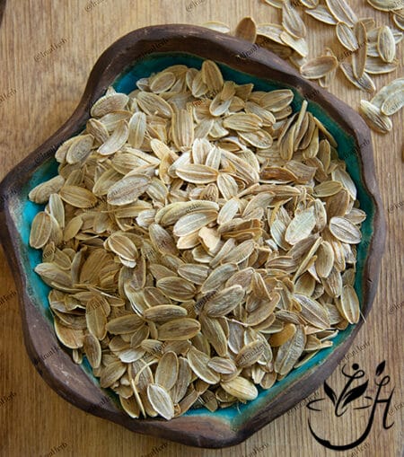 بذر باریجه