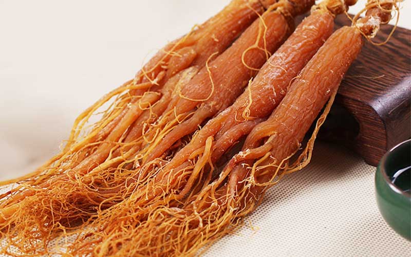 what is red ginseng
