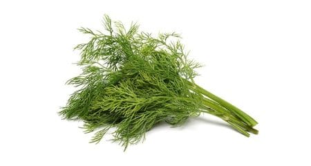 اسانس شوید