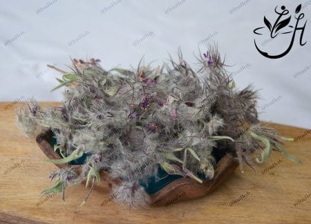 چای کوهی
